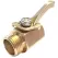 BluBird Avagard Thumb Valve