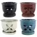 MCarr 12PC 5.5" 4 Petal Orchid Pot Mix Asst