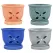 MCarr 12PC 5.5" 4 Petal Orchid Pot Mix Asst
