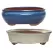 MCarr 2PC 14.6" Bonsai Planter Set Mixed Colors