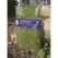 SuperMoss 16oz Forest Moss Preserved Fresh Green