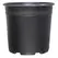 Thermoformed Nursery Pot 2 Gallon