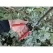Corona 1" ClassicCUT Hand Pruner