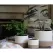 Jewel 6" Mug Pot IVS