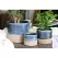 Jewel 6" Mug Pot NTB