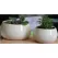 Jewel 8.5" Freeform Bowl Ivc