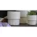 Jewel 7" Martini Pot Ivs