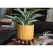 Palm Spring 8" Brush Comb Planter Mst