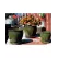 Verandah Butter Cup Size A Tgn
