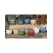 PHG Finger Succulent Cup Mixed Set of 12