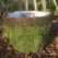 SuperMoss 3pc Round Deco Basket