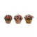 Deer Park Black Basket Variety Pk 2 Floral Daisy Ribbon Arch