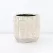 PHG 5.5"x5" Salinas Planters Sponged Cream Case of 6
