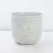 PHG 4.5"x4.5" Pebble Beach Planter White Daisy 8/CS