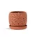 PHG 6"x5.5" Rain Drop Orchid Planter Sand Canyon Clay