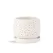 PHG 6"x5.5" Rain Drop Orchid Planter Sand Milky White