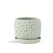 PHG 7.5"x6.5" Rain Drop Orchid Planter Sand Sage Green