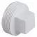 Dwv-Pvc Male Plug 2"