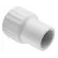 3/4" Adapter PVC Sch. 40 Spigot x FPT | 478-007