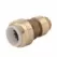Cash Acme Transition Coupling 1 in. CTS x PVC Adapter | UIP 4020