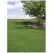 25 lb Bag Emerald III Tall Fescue Blend Grass Seed