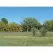 50 lb Bag Foothills Mix Grass Seed
