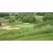5 lb Bag Low Grow Mix Grass Seed