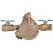 Pressure Zone Assembly, 2"NPT x NPT Lead-Free Cast Copper Silicon Alloy 175 psi LF825Y-QT RP Series Y-Pattern Reduced