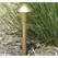 Area Light, 3 W Ba15s LED Acid Rust Cast Aluminum/Cast Brass
