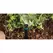 Hunter Center Strip Nozzle 5' x 30' | CS530