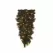 Teardrop, Warm White 5 mm LED 36" Mixed Noble Series