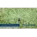 Hunter Nozzle, 8 - 15' 360° Full Circle 0.69 - 1.01 Gpm Olive | MP1000360