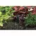 Hunter MSBN Multi-Stream Bubbler Nozzle Half Circle | MSBN50H