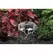 Hunter PCN Pressure Compensating Trickle Bubbler Nozzle | PCN25