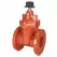 3" Flanged Ductile Iron 250 psi F-619-RWS-SON Series Gate Valve | NIBF619RWSSON030
