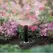 Rain Bird MPR Spray Nozzle 30 Degrees Three Quarter Circle 15' Fixed Part Circle | 15TQ
