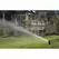 Rain Bird 5000 Rotor 6" Part-Circle w/ 3.0 Nozzle | Y5600730