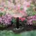 Rain Bird MPR Nozzle 5' Half Circle | A47083