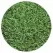 Delta Bluegrass Company Grass Seed | 12LC11
