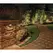2 W GU5.3 T3 2700K LED Weathered Brass Cast Brass Odyssey Series Niche Light | UNIGEMI12L27