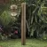 2.5 W Ceramic T3 LED Standard Architectural Bronze Die-Cast Copper-Free Aluminum Landscape Series 8240 Model Bollard Light | VISBR8240Z25WT3