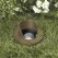 5 W MR-16 LED Standard Granite Die-Cast Copper-Free Aluminum Landscape Series 5261 Model In-Ground with Glare Shield 3 Emitter Well Light | VISGW5261GTWLF3