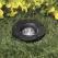 5 W MR-16 LED Standard Black Die-Cast Copper-Free Aluminum Landscape Series 5262 Model In-Ground 3 Emitter Well Light | VISGW5262BWLF3FL