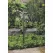 35 W Ceramic MR11 LED Standard Black Die-Cast Copper-Free Aluminum Landscape Series 4011 Model Path Light | VISML4011BFTD