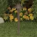 2.5 W T3 LED Standard Dark Bronze Die-Cast Copper-Free Aluminum Landscape Series 2267 Model Path Light | VISPR2267DZ2WT3