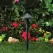 2.5 W Ceramic T3 LED Standard Architectural Bronze Die-Cast Copper-Free Aluminum Landscape Series 6509 Model Path Light | VISPR6509Z25WT3