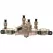 3/4" FNPT Lead-Free Bronze 175 psi LF009M3-QT Series In-Line Reduced Pressure Zone Assembly | WAT009QT007LF