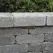 2.5 W Wedge T3.5 2700K LED Standard Dark Bronze Aluminum Landscape 4260 Series Step Light | VISSL4260DZWLB2