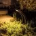 3 W 3000K LED Bronze Aluminum Small Slide Path Light | WAC631130BZ