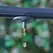 4 mm Barb x Spout 2 gph Polypropylene Green Pressure Compensating Dripper | ANT30725